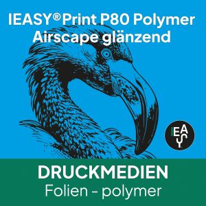IEASY®Print P80 Polymer Airscape
